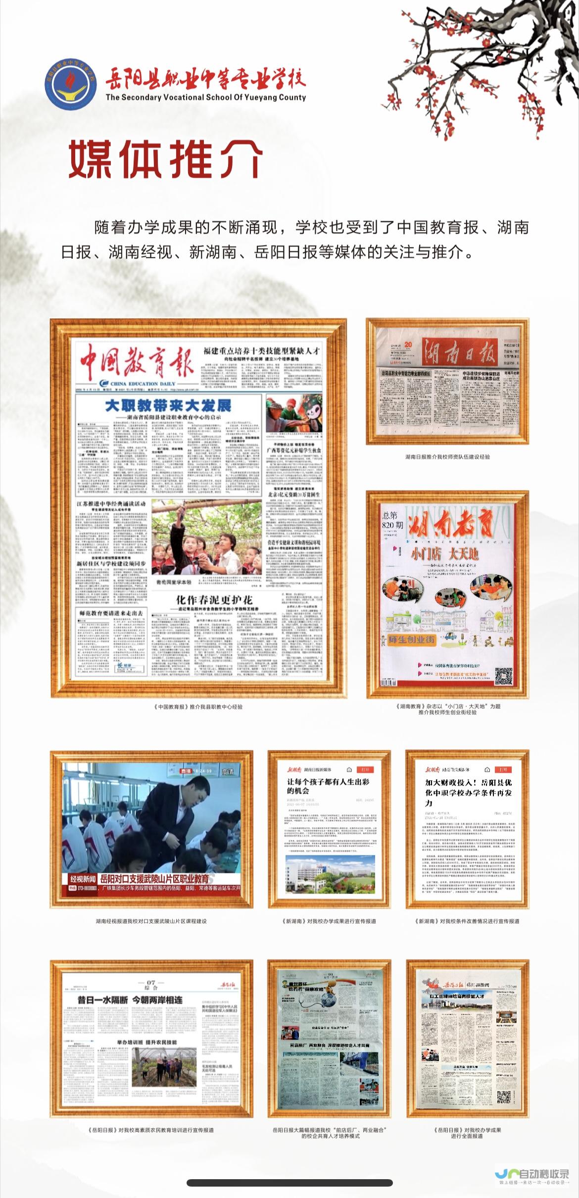 岳阳专业网站建设服务：提升企业竞争力，引爆线上商机