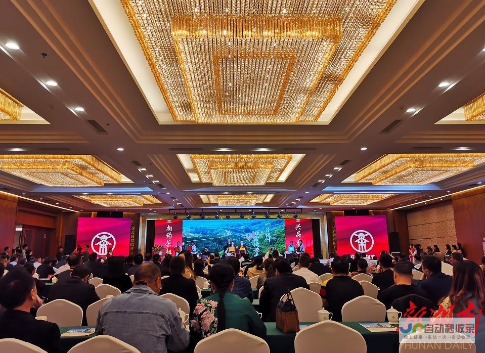 打造株洲品牌形象，提升线上业绩：专业株洲网站建设解决方案