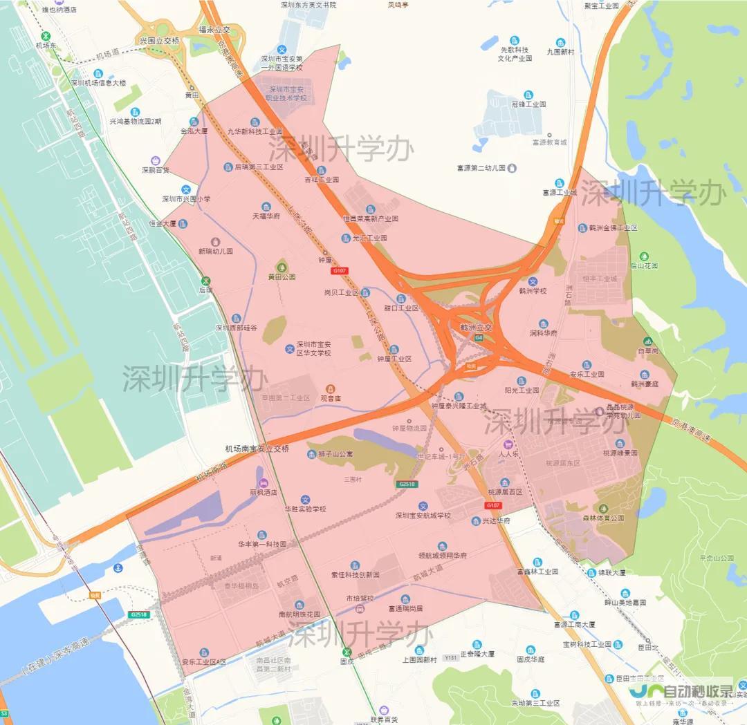宝安地区专业网站建设服务：定制化方案，提升您的企业价值，引领数字营销新时代