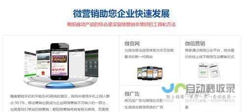 提升企业在线形象：定制化企业网站程序开发服务