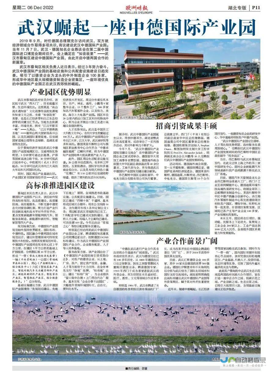 武汉网站维护专家：专业技术团队，高效可靠地保障您的网站稳定运行