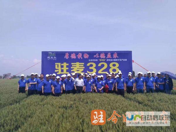 驻马店网站开发：打造您的专属线上名片，引领企业数字化转型
